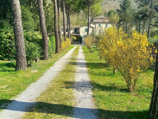 Villa Indipendente in vendita a Cenerente, Umbria