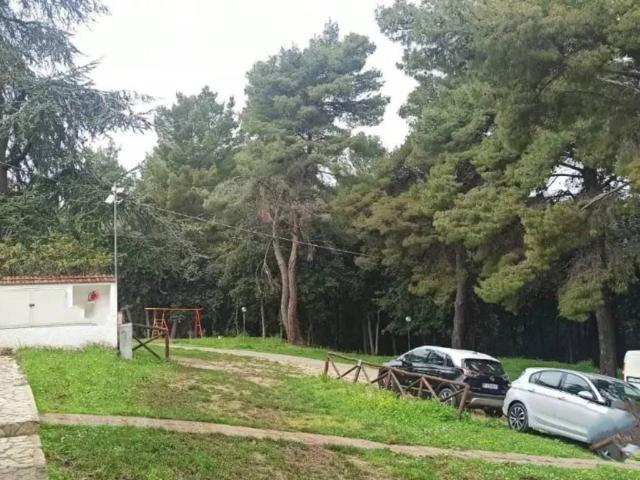 Villa Indipendente in vendita a Puglia, Foggia