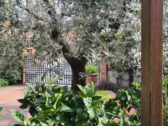 Villa Indipendente in vendita a Uzzano E Castello, Pistoia