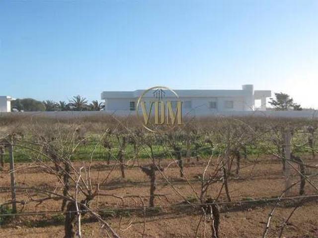 Villa Indipendente in vendita a Petrosino, Sicilia