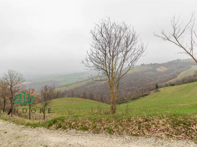 Villa Indipendente in vendita a Unione dei comuni Savena-Idice, Loiano