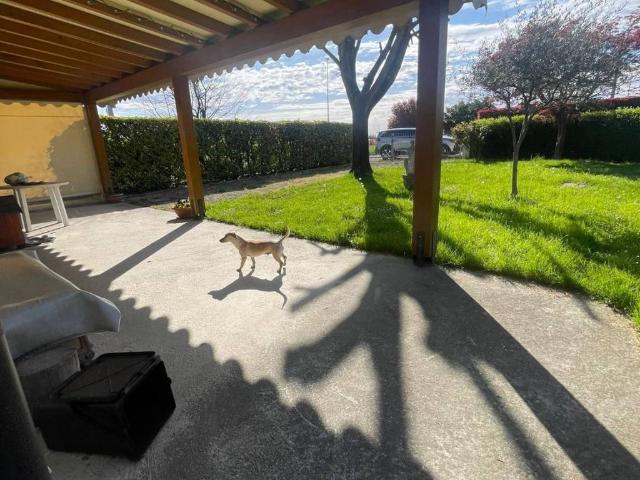 Villa Indipendente in vendita a Piazzola Sul Brenta, Veneto