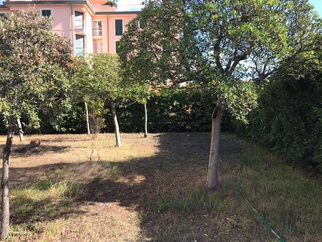 Villa Indipendente in vendita a Tonfano, Toscana