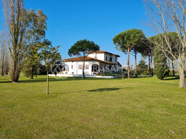 Villa Indipendente in vendita a Tonfano, Toscana