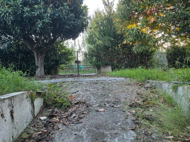 Villa Indipendente in vendita a Tonfano, Toscana