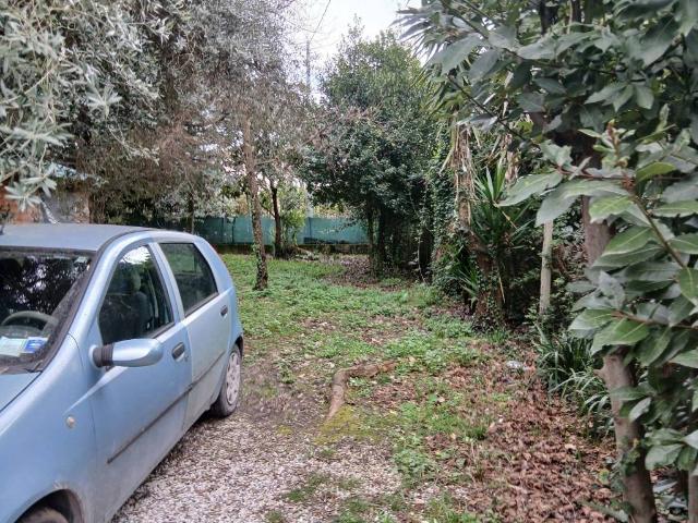 Villa Indipendente in vendita a Tonfano, Toscana