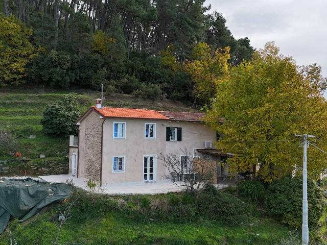Villa Indipendente in vendita a Tonfano, Toscana