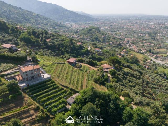Villa Indipendente in vendita a Tonfano, Toscana