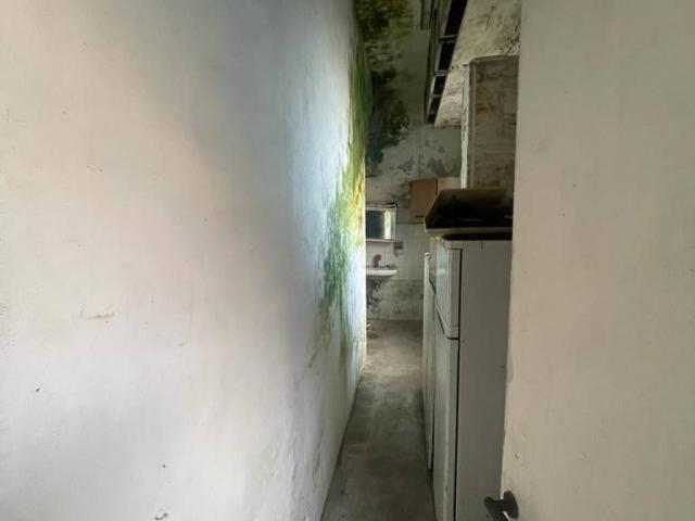 Villa Indipendente in vendita a Tonfano, Toscana