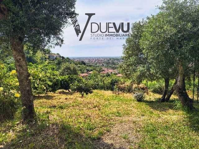 Villa Indipendente in vendita a Strettoia, Pietrasanta