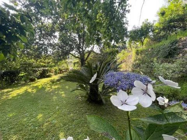 Villa Indipendente in vendita a Tonfano, Toscana
