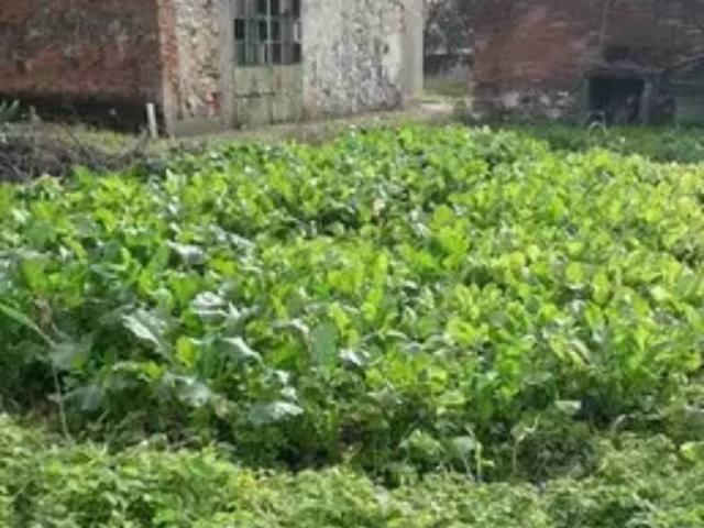Villa Indipendente in vendita a Via Nova, Pieve A Nievole