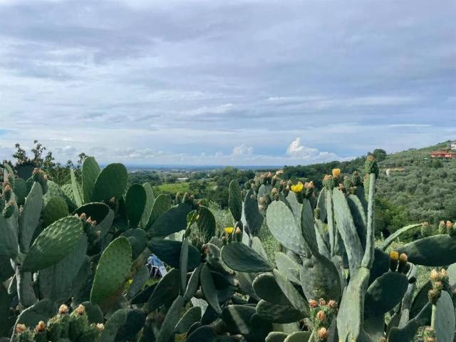 Villa Indipendente in vendita a Falciano, Pieve A Nievole