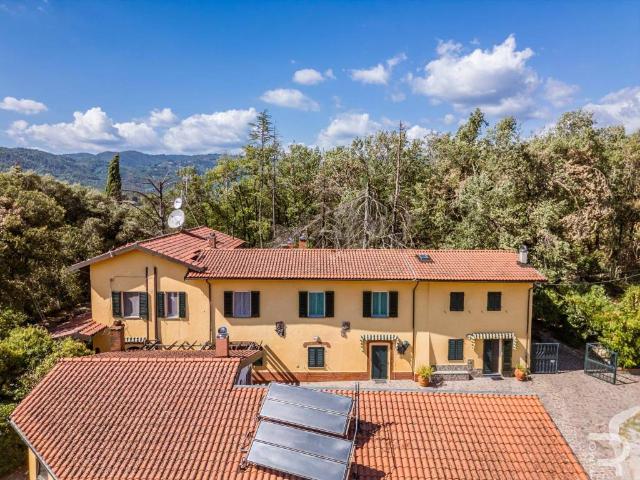 Villa Indipendente in vendita a Pieve A Nievole, Toscana