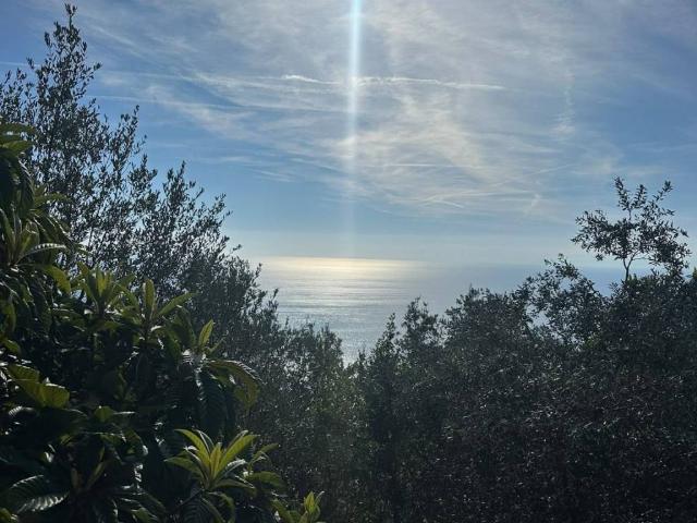 Villa Indipendente in vendita a Pieve Ligure, Genova