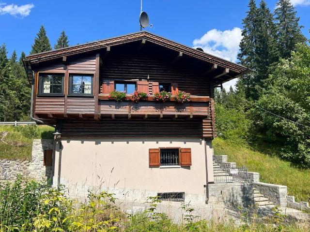 Villa Indipendente in vendita a Comunità delle Giudicarie, Pinzolo