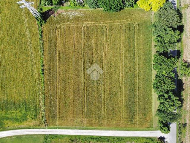 Villa Indipendente in vendita a Piombino Dese, Veneto
