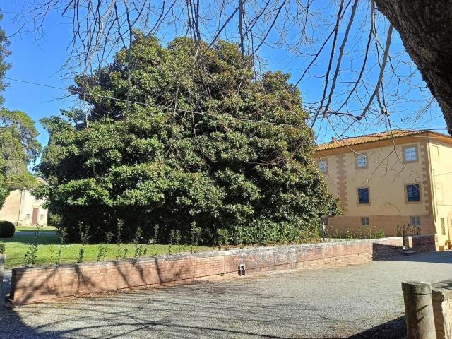 Villa Indipendente in vendita a Porta a Lucca, Pisa
