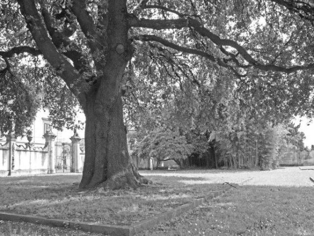 Villa Indipendente in vendita a Porta a Lucca, Pisa