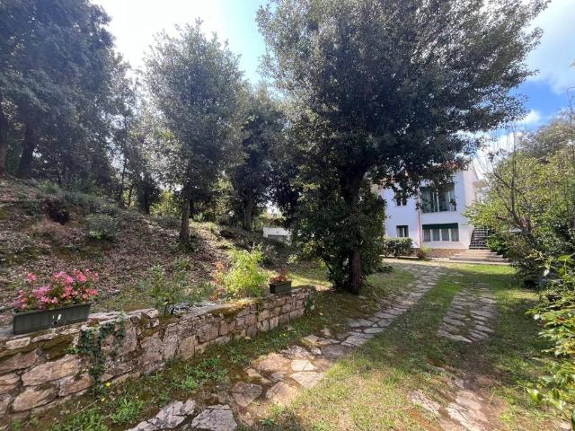 Villa Indipendente in vendita a Tirrenia, Pisa