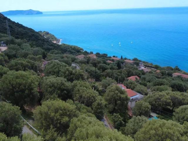 Villa Indipendente in vendita a Pisciotta, Campania
