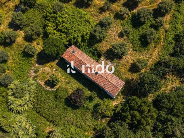 Villa Indipendente in vendita a Podere San Luigi, Pistoia
