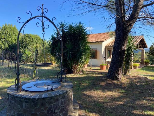 Villa Indipendente in vendita a Unione di Comuni Montani Colline del Fiora, Pitigliano