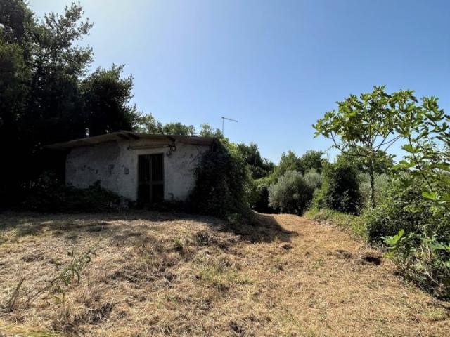 Villa Indipendente in vendita a Poggio Catino, Lazio