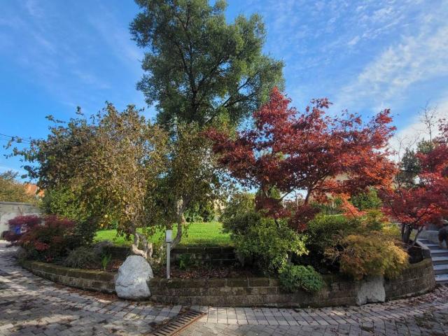 Villa Indipendente in vendita a Coltura / Culture, Polcenigo / Polcenic - Al Borc