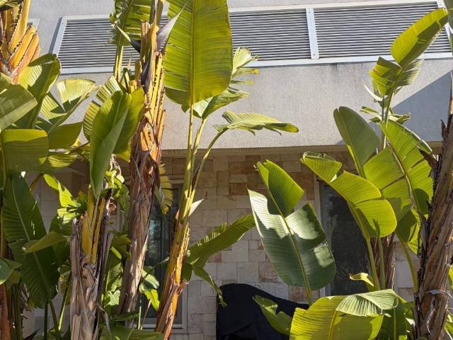 Villa Indipendente in vendita a Puglia, Bari