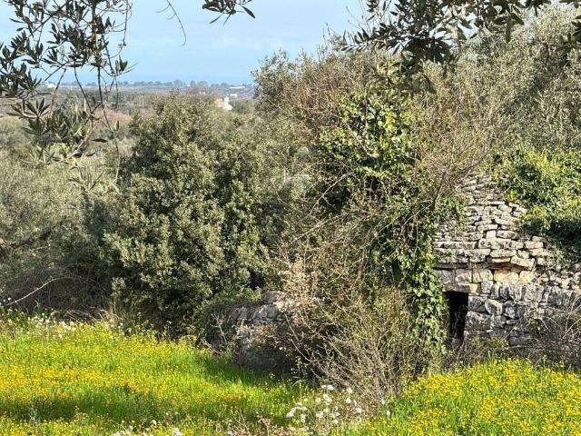 Villa Indipendente in vendita a Puglia, Bari