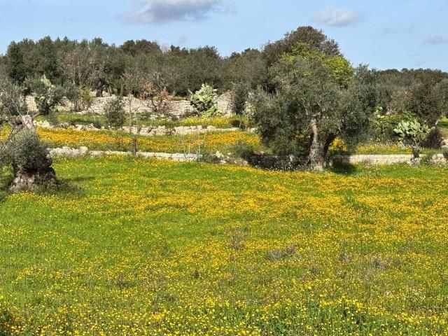 Villa Indipendente in vendita a Puglia, Bari