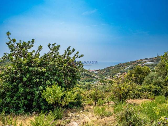 Villa Indipendente in vendita a Pompeiana, Liguria