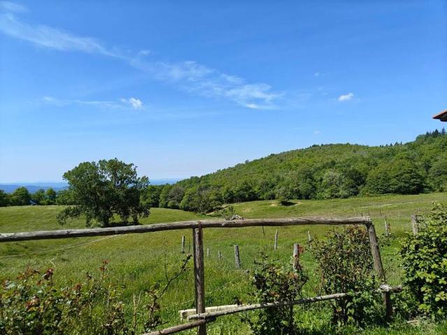 Villa Indipendente in vendita a Unione di Comuni Valdarno e Valdisieve, Pontassieve