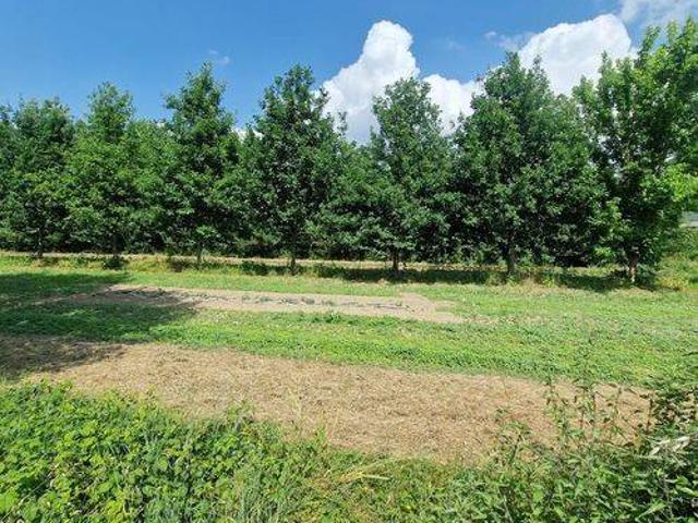 Villa Indipendente in vendita a Casabianca, Ponte Buggianese