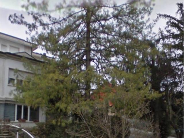 Villa Indipendente in vendita a Ponte Nizza, Lombardia