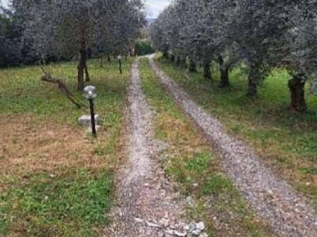 Villa Indipendente in vendita a Pontedera, Toscana