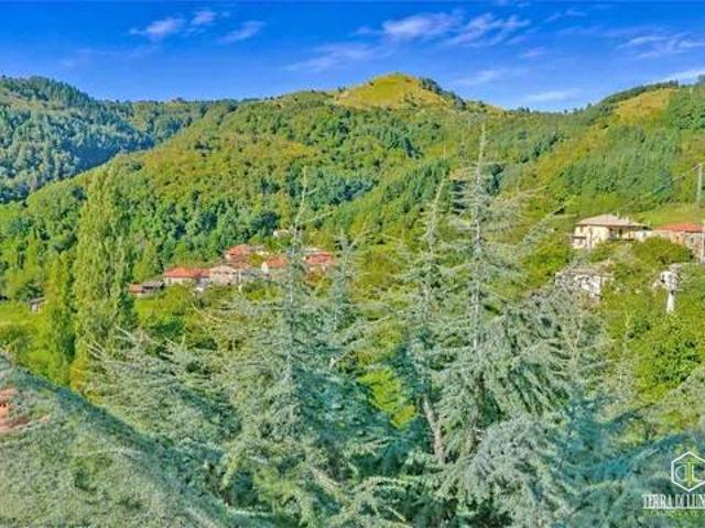 Villa Indipendente in vendita a Soglio, Pontremoli