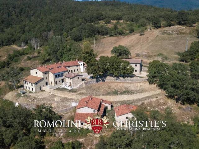 Villa Indipendente in vendita a Poppi, Toscana
