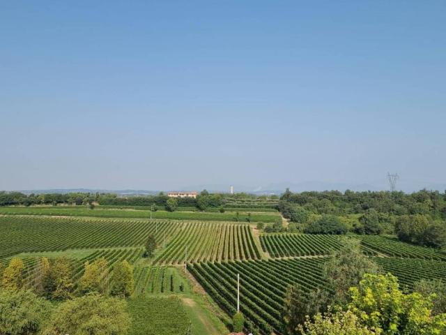 Villa Indipendente in vendita a Pozzolengo, Lombardia