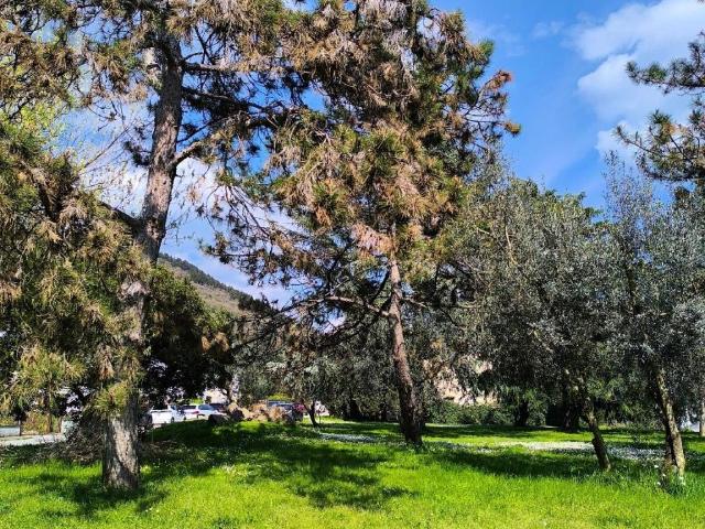 Villa Indipendente in vendita a Santa Lucia, Prato