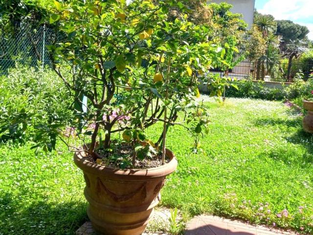 Villa Indipendente in vendita a Le Badie, Prato