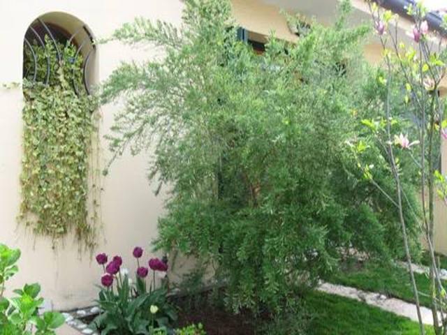 Villa Indipendente in vendita a Borgo Verde, Preganziol