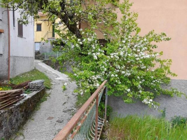 Villa Indipendente in vendita a Propata, Liguria