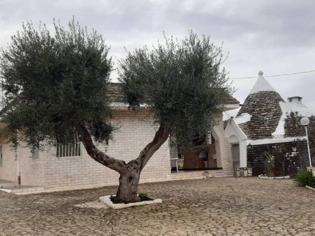 Villa Indipendente in vendita a Puglia, Bari