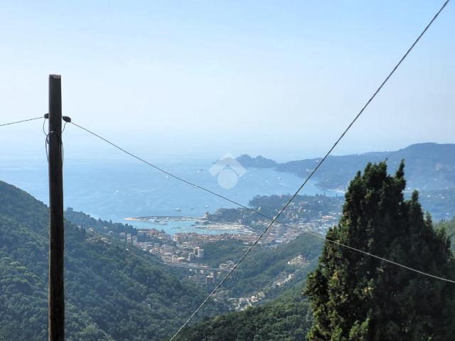 Villa Indipendente in vendita a Rapallo, Liguria