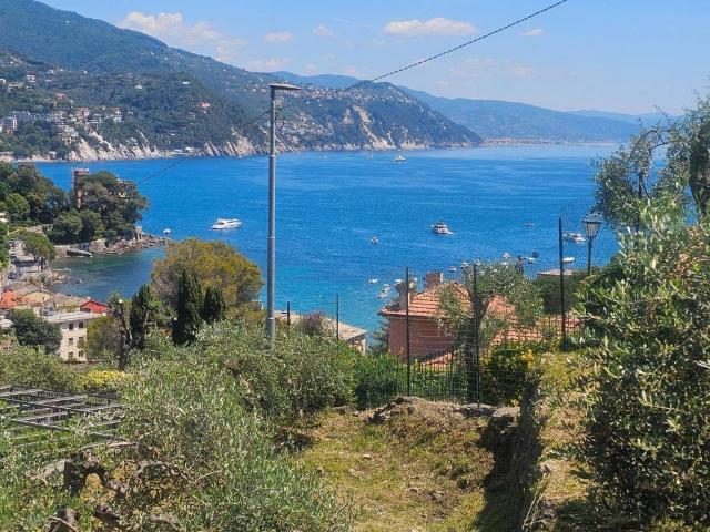 Villa Indipendente in vendita a San Michele di Pagana, Rapallo