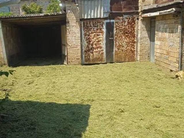 Villa Indipendente in vendita a Rapino, Abruzzo
