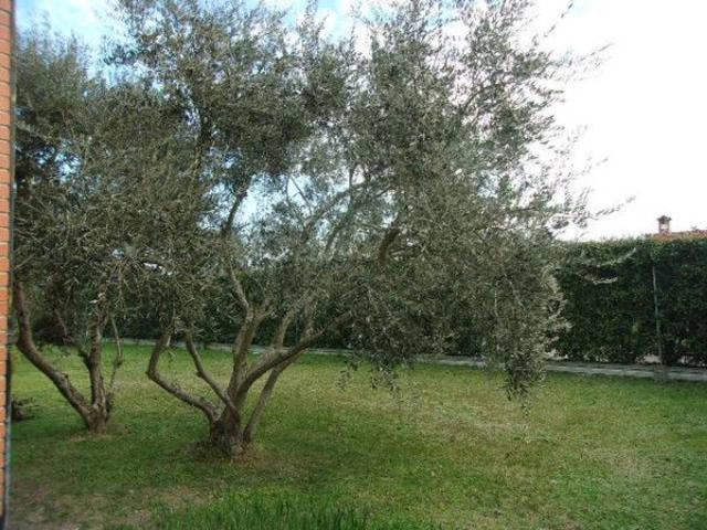 Villa Indipendente in vendita a San Biagio, Ravenna