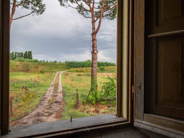 Rustico in vendita a Madonna dell'Albero, Ravenna